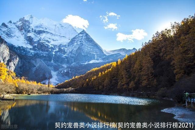 契约宠兽类小说排行榜(契约宠兽类小说排行榜2021)