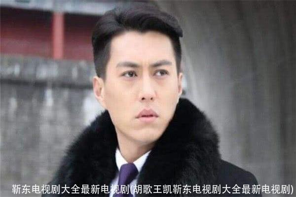 靳东电视剧大全最新电视剧(胡歌王凯靳东电视剧大全最新电视剧)