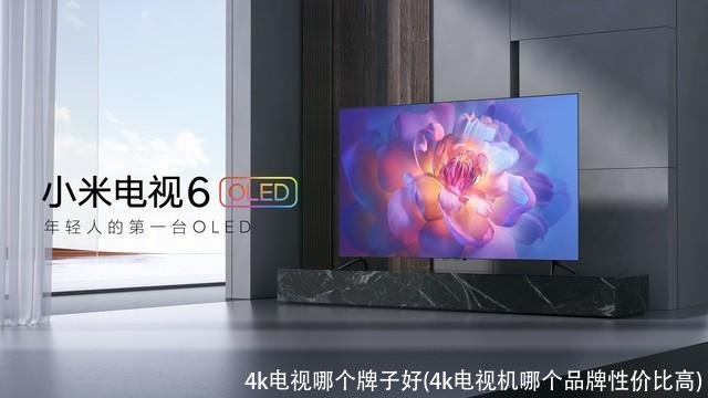 4k电视哪个牌子好(4k电视机哪个品牌性价比高)