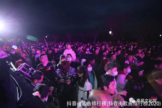 抖音dj歌曲排行榜(抖音dj歌曲排行榜2020)