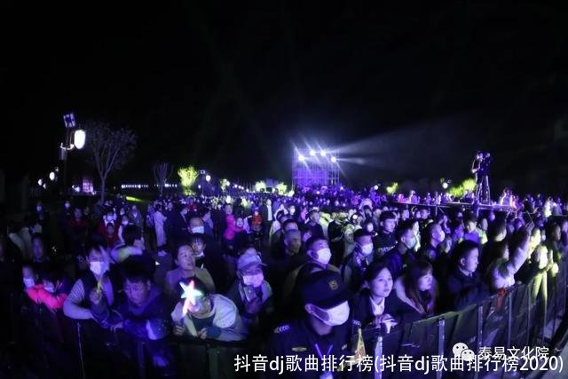 抖音dj歌曲排行榜(抖音dj歌曲排行榜2020)
