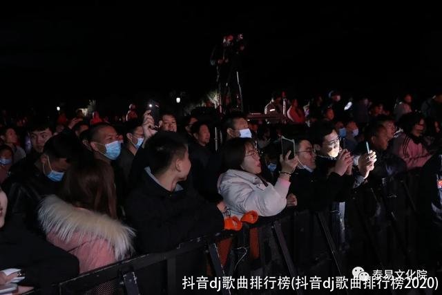 抖音dj歌曲排行榜(抖音dj歌曲排行榜2020)
