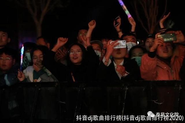 抖音dj歌曲排行榜(抖音dj歌曲排行榜2020)