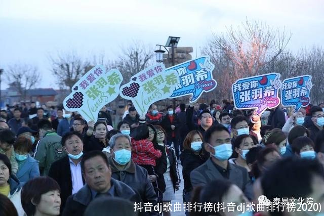抖音dj歌曲排行榜(抖音dj歌曲排行榜2020)