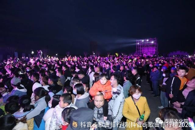 抖音dj歌曲排行榜(抖音dj歌曲排行榜2020)