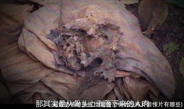 超级恐怖的恐怖片(超级恐怖的恐怖片惊悚片有哪些)