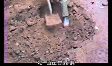 超级恐怖的恐怖片(超级恐怖的恐怖片惊悚片有哪些)