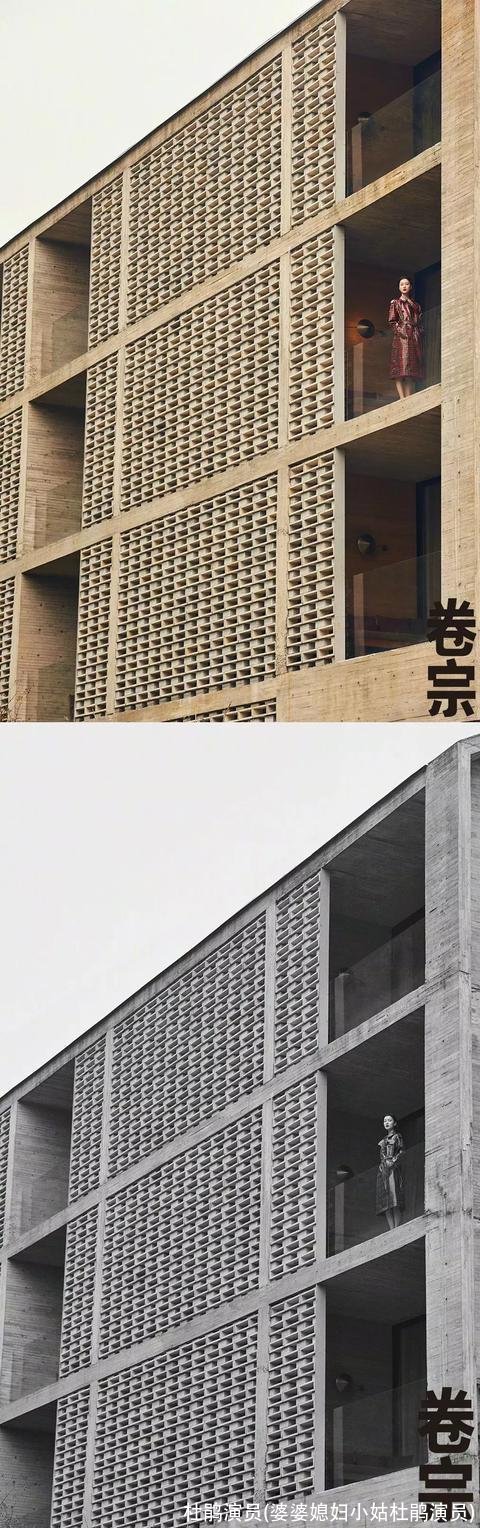 杜鹃演员(婆婆媳妇小姑杜鹃演员)