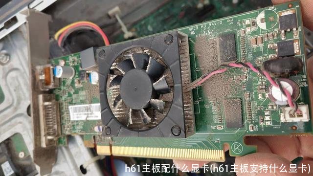 h61主板配什么显卡(h61主板支持什么显卡)