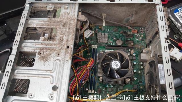 h61主板配什么显卡(h61主板支持什么显卡)