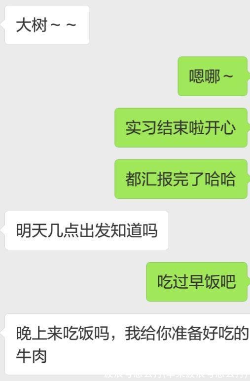 波浪号怎么打(苹果波浪号怎么打)