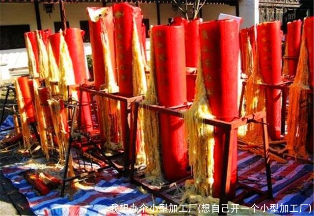 我想办个小型加工厂(想自己开一个小型加工厂)