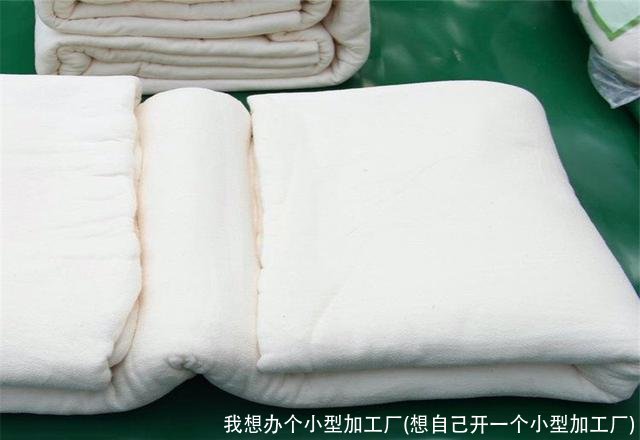 我想办个小型加工厂(想自己开一个小型加工厂)