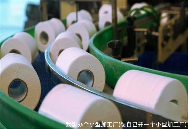 我想办个小型加工厂(想自己开一个小型加工厂)
