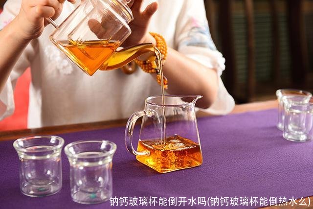 钠钙玻璃杯能倒开水吗(钠钙玻璃杯能倒热水么)