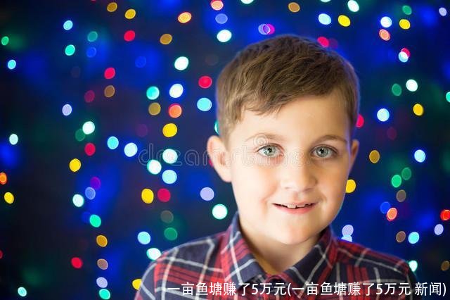 一亩鱼塘赚了5万元(一亩鱼塘赚了5万元 新闻)