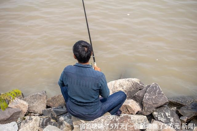 一亩鱼塘赚了5万元(一亩鱼塘赚了5万元 新闻)