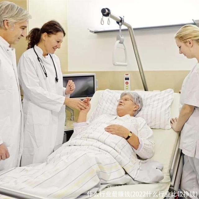 什么行业最赚钱(2022什么行业比较挣钱)
