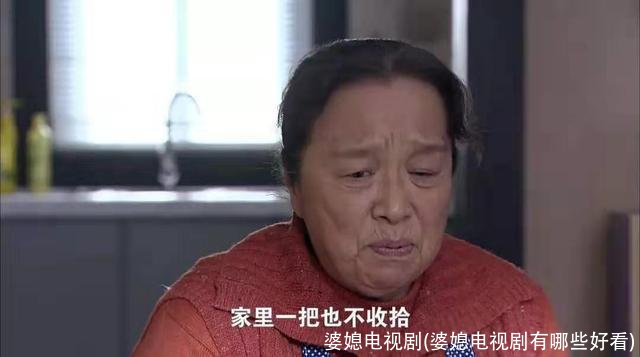 婆媳电视剧(婆媳电视剧有哪些好看)