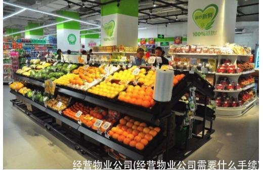 经营物业公司(经营物业公司需要什么手续)