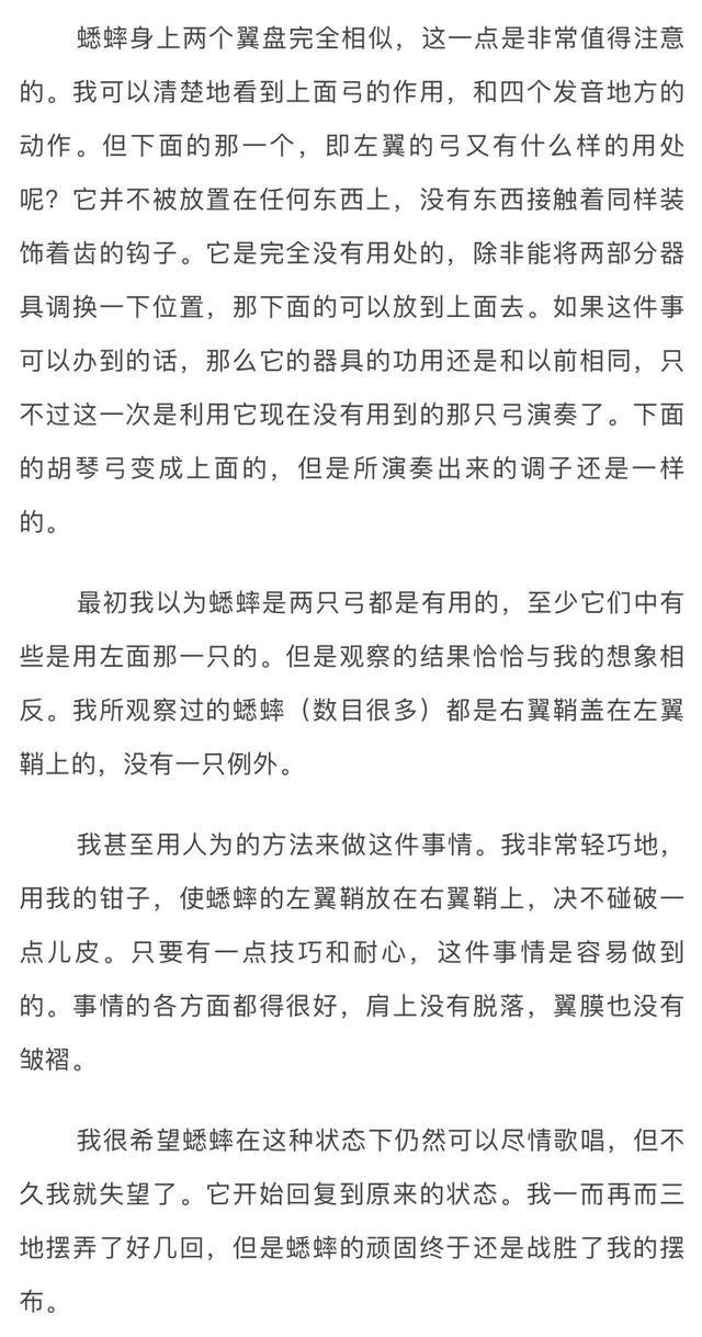 蟋蟀和蛐蛐一样吗(蟋蟀和蛐蛐一样吗)