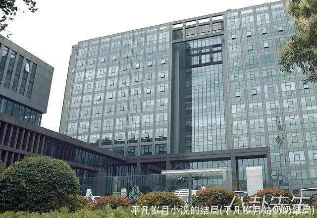 平凡岁月小说的结局(平凡岁月姑奶奶结局)