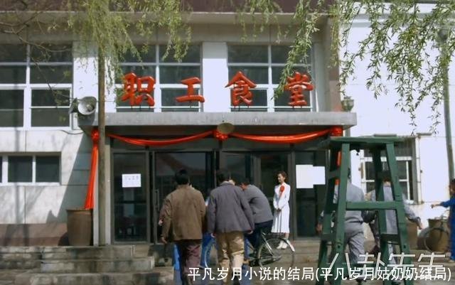 平凡岁月小说的结局(平凡岁月姑奶奶结局)