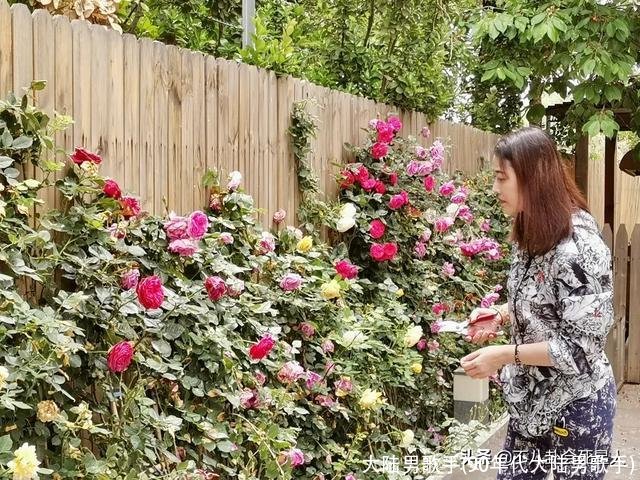 大陆男歌手(90年代大陆男歌手)