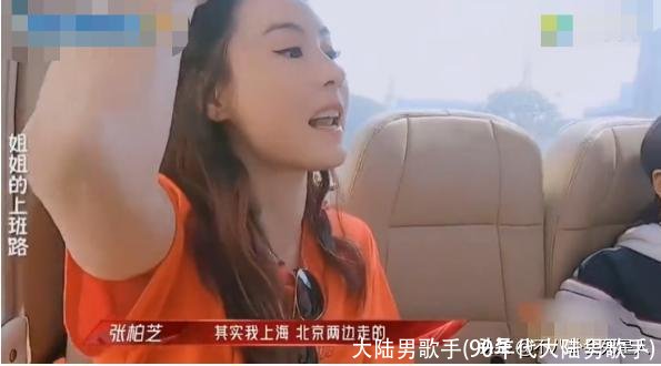 大陆男歌手(90年代大陆男歌手)