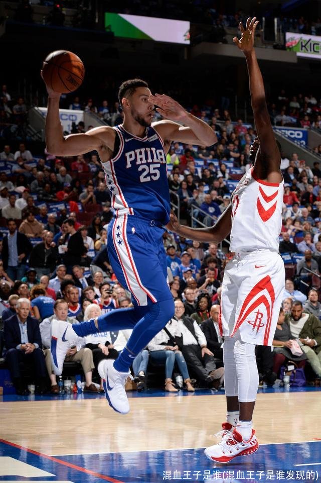 混血王子是谁(混血王子是谁发现的)