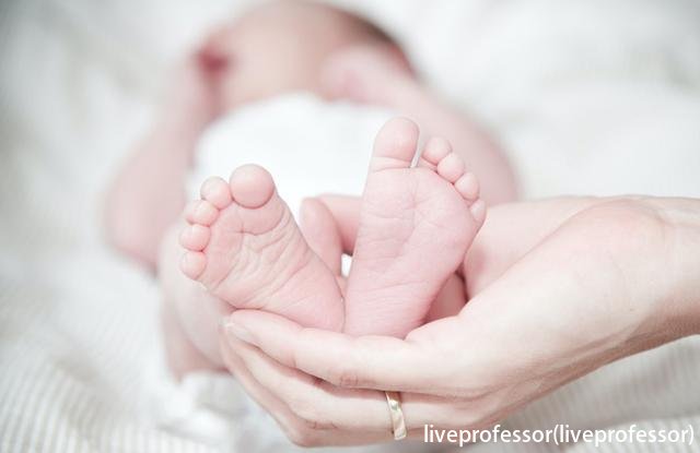 liveprofessor(liveprofessor)