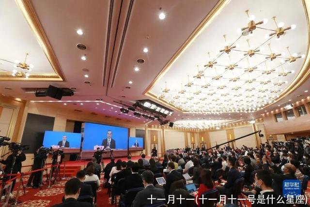 十一月十一(十一月十一号是什么星座)