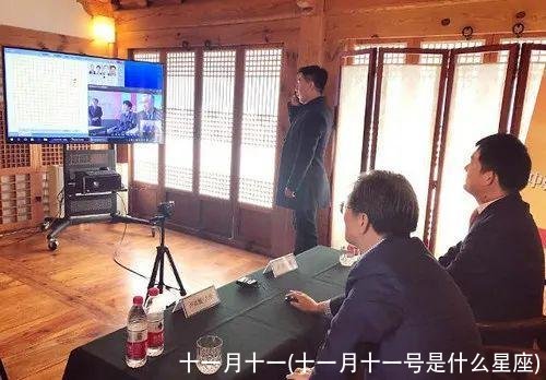 十一月十一(十一月十一号是什么星座)