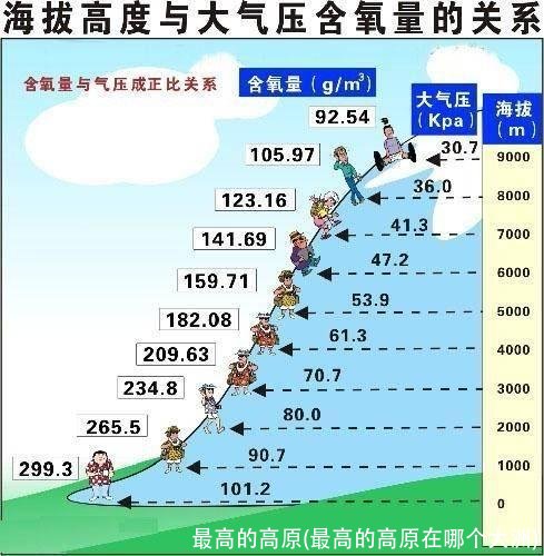 最高的高原(最高的高原在哪个大洲)