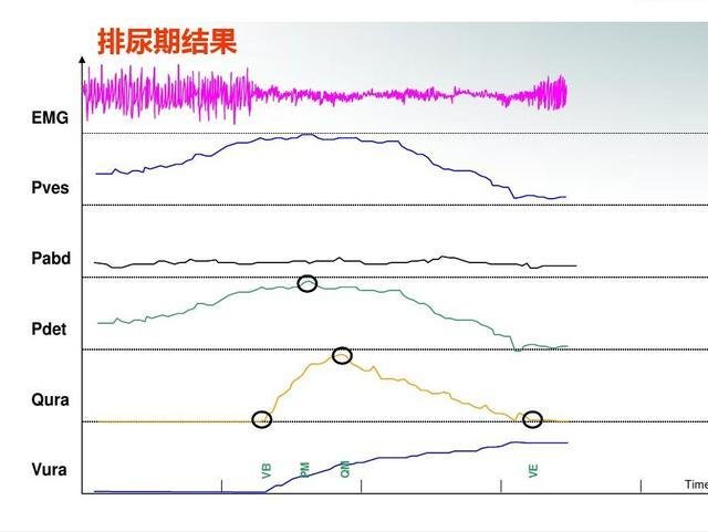 最高的高原(最高的高原在哪个大洲)