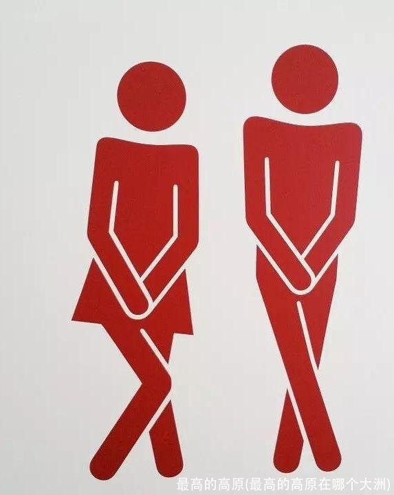 最高的高原(最高的高原在哪个大洲)