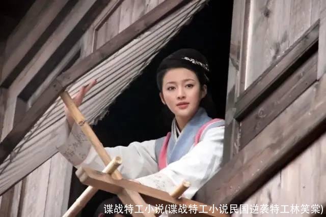 谍战特工小说(谍战特工小说民国逆袭特工林笑棠)