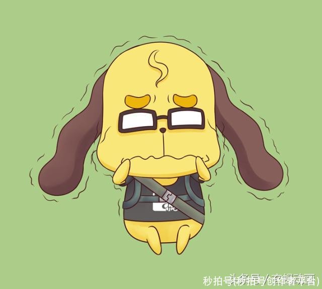 秒拍号(秒拍号创作者平台)