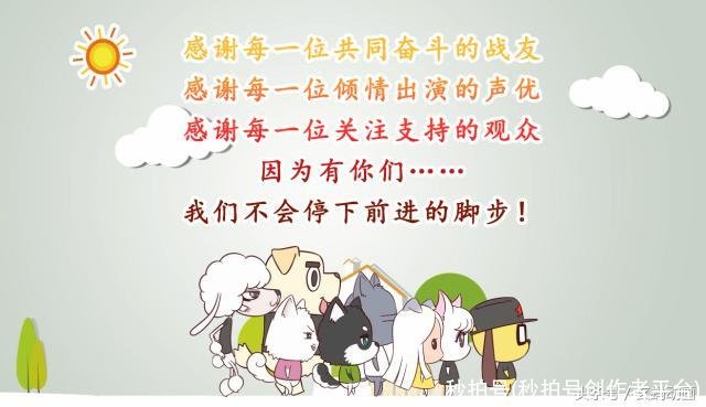 秒拍号(秒拍号创作者平台)