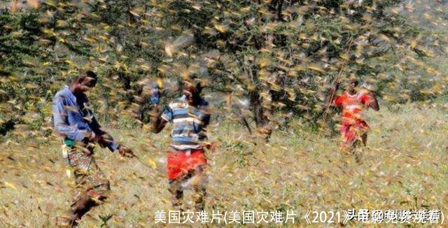 美国灾难片(美国灾难片《2021》电影免费观看)