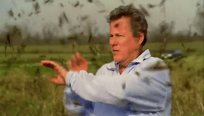 美国灾难片(美国灾难片《2021》电影免费观看)