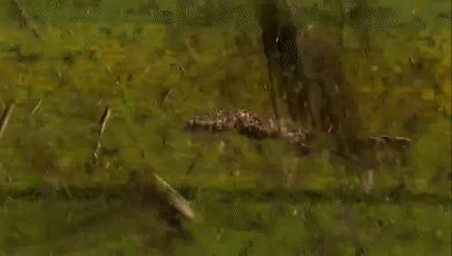 美国灾难片(美国灾难片《2021》电影免费观看)