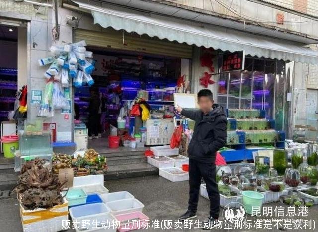 贩卖野生动物量刑标准(贩卖野生动物量刑标准是不是获利)