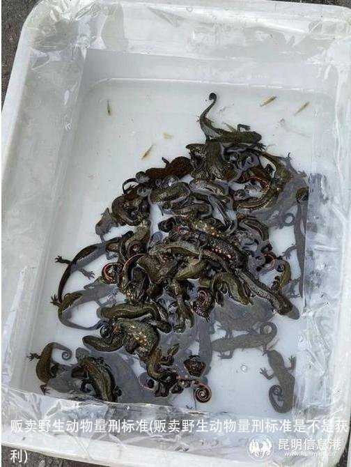 贩卖野生动物量刑标准(贩卖野生动物量刑标准是不是获利)