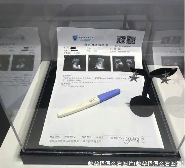 验孕棒怎么看图片(验孕棒怎么看图解)
