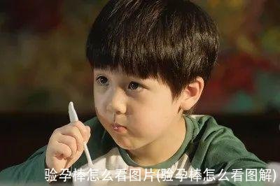 验孕棒怎么看图片(验孕棒怎么看图解)