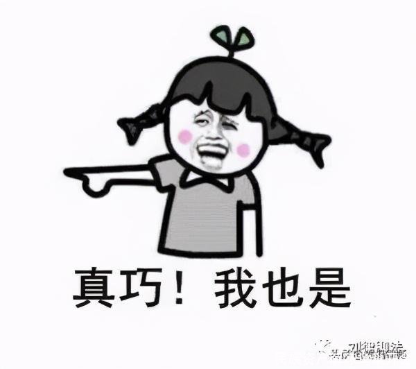 民族资产解冻鸟巢开会