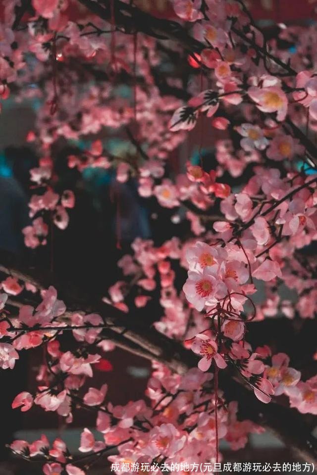 成都游玩必去的地方(元旦成都游玩必去的地方)