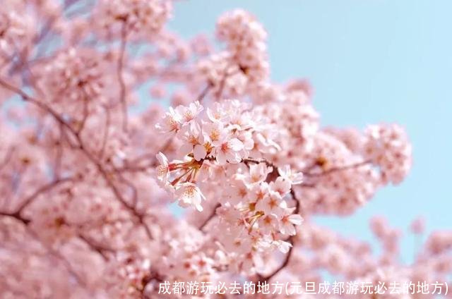 成都游玩必去的地方(元旦成都游玩必去的地方)