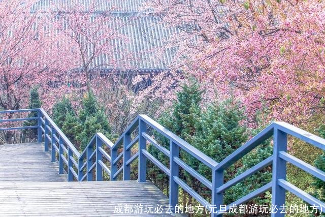 成都游玩必去的地方(元旦成都游玩必去的地方)